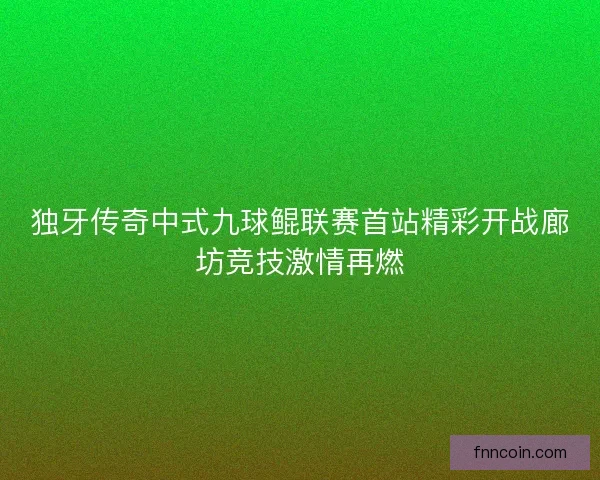 独牙传奇中式九球鲲联赛首站精彩开战廊坊竞技激情再燃