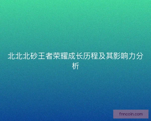 北北北砂王者荣耀成长历程及其影响力分析